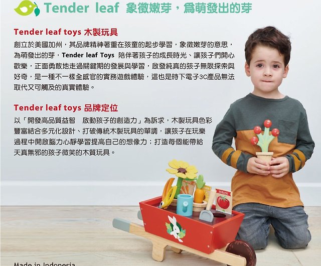Tender Leaf Toys - Machine à café Babyccino