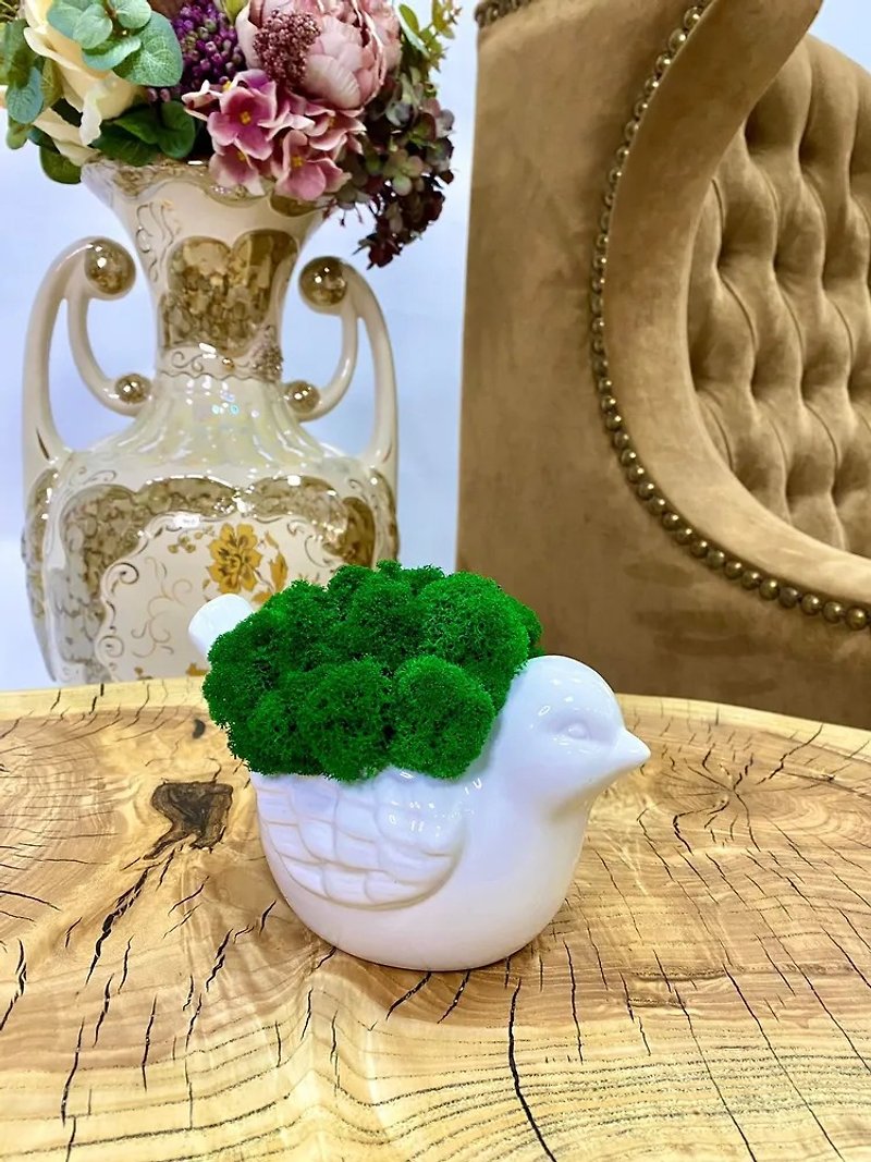 Flower pots, stabilized moss Bird - 咖啡壺/咖啡周邊 - 植物．花 