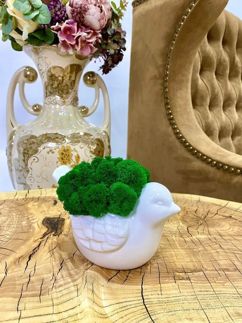 Flower pots, stabilized moss Bird - Coffee Pots & Accessories - Plants & Flowers 