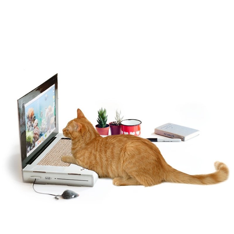 Cat Laptop Scratch Pad - Other - Paper 
