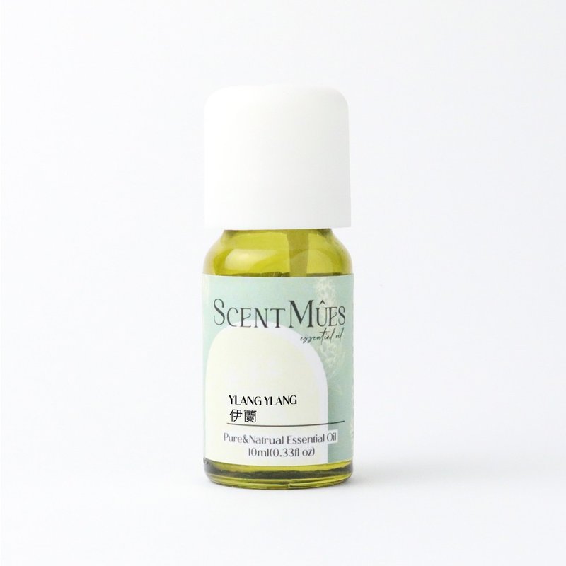 【ScentMûes】Ylang ylang essential oil 10ml - น้ำหอม - น้ำมันหอม 