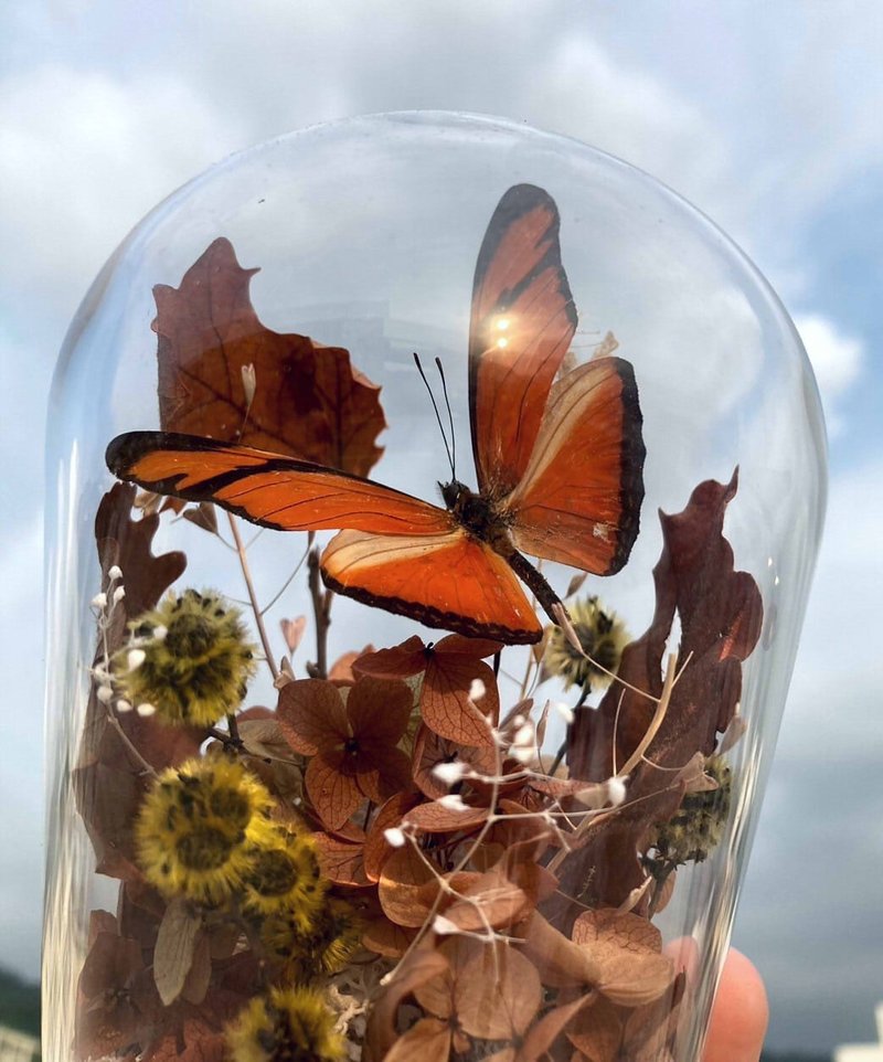 Butterfly Specimen Glass Cup-Sleeve God's Dance/Valentine's Day/Dried Flowers/Ecological Bottle/Changeable Sleeve Butterfly - Dried Flowers & Bouquets - Plants & Flowers 