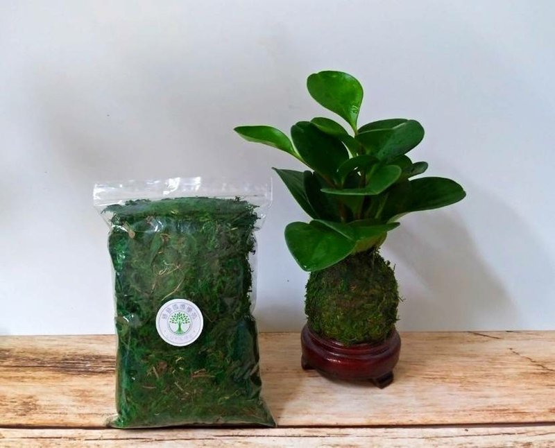 園藝手作介質 綠色水苔 苔球 苔玉原材料 - 花藝/盆栽/植栽 - 植物．花 