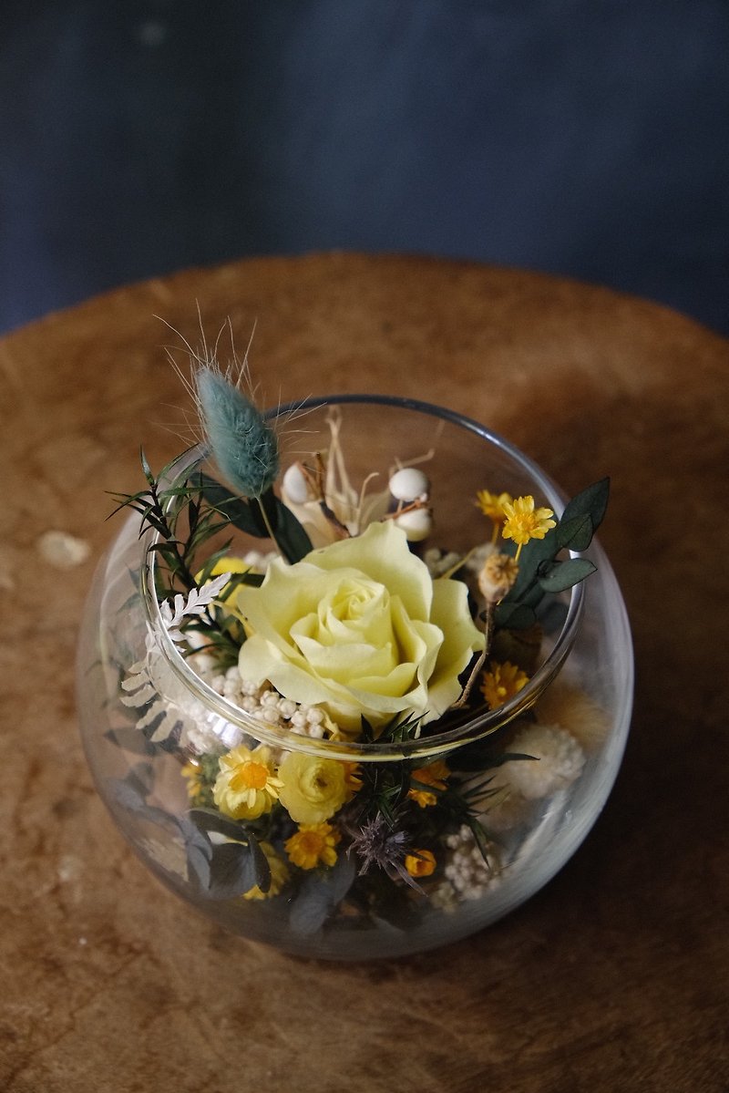 Immortal flower glass ball - ช่อดอกไม้แห้ง - พืช/ดอกไม้ 