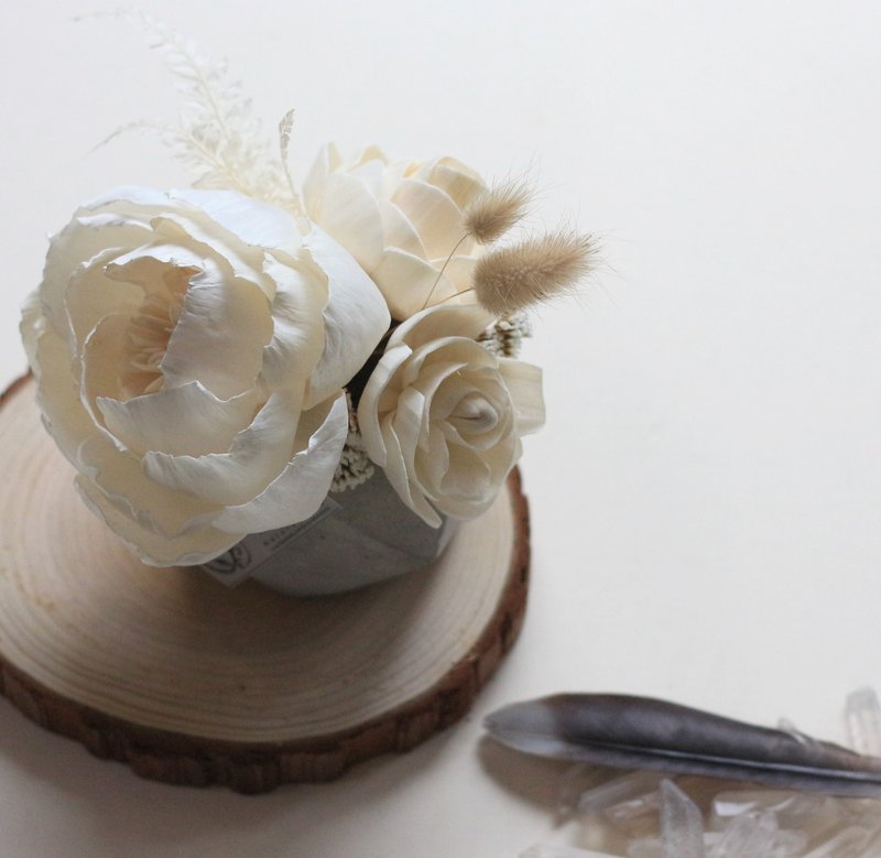 索拉擴香桌花,水泥盆香氛擺件,可配精油 - 擺飾/家飾品 - 植物．花 白色