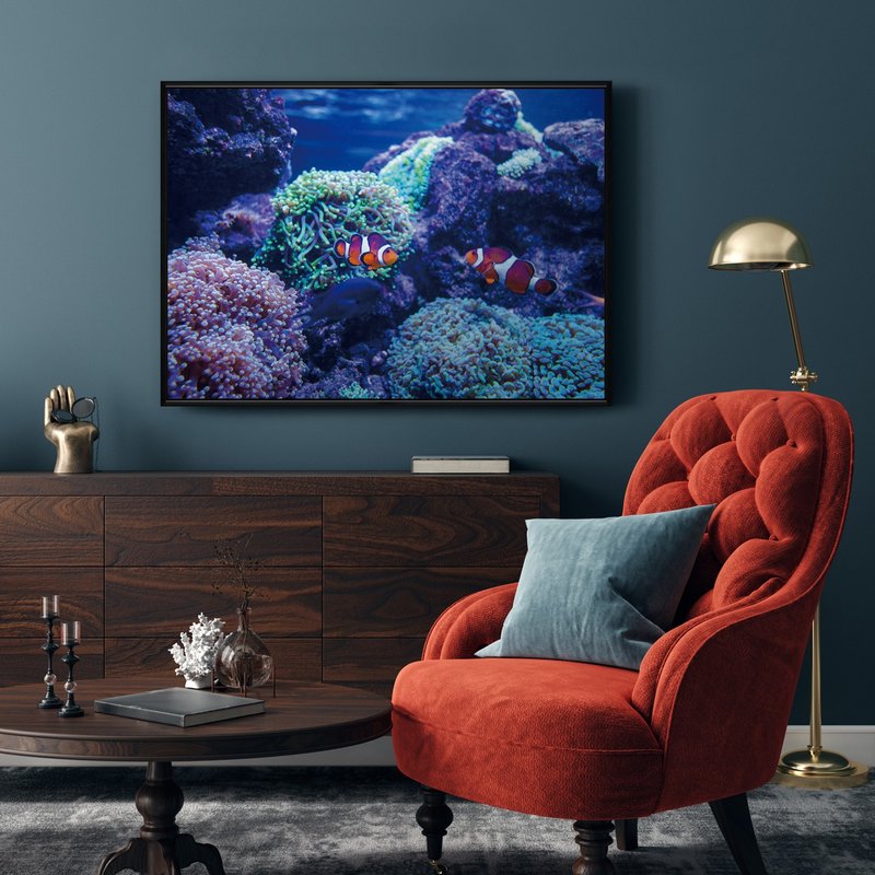 海底世界 • 小丑魚 - 小丑魚/大自然/海洋/多彩/生態/群聚 - 海報/掛畫/掛布 - 其他材質 多色