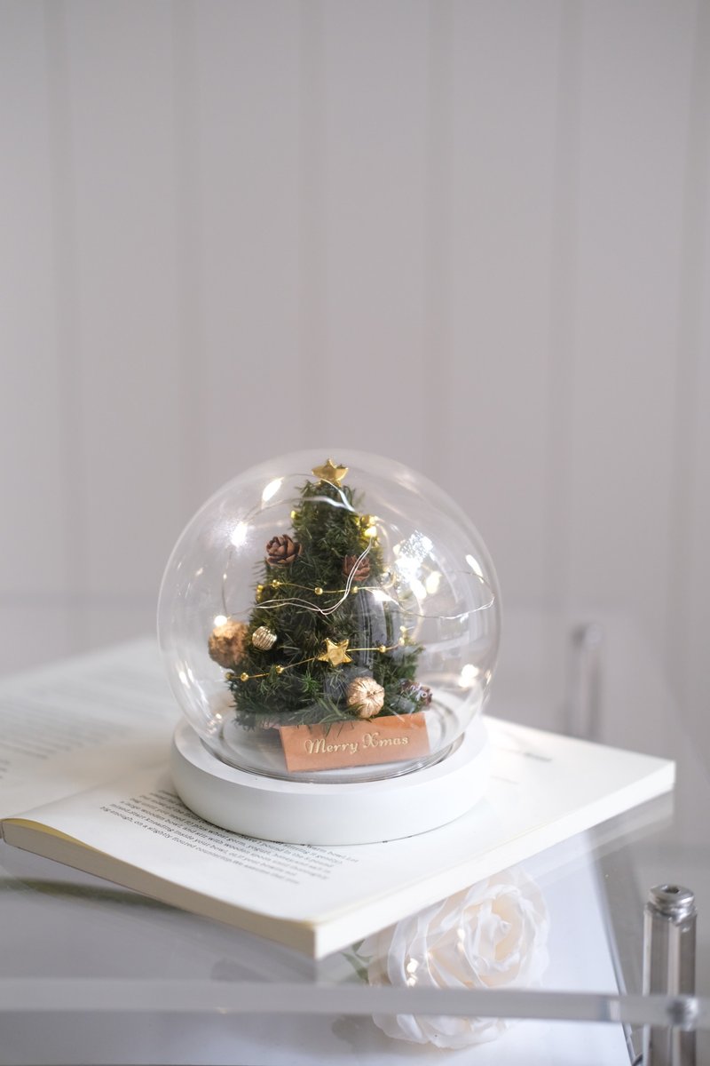 永生聖誕樹玻璃球小燈【聖誕禮盒】 - 乾燥花/永生花 - 其他材質 白色
