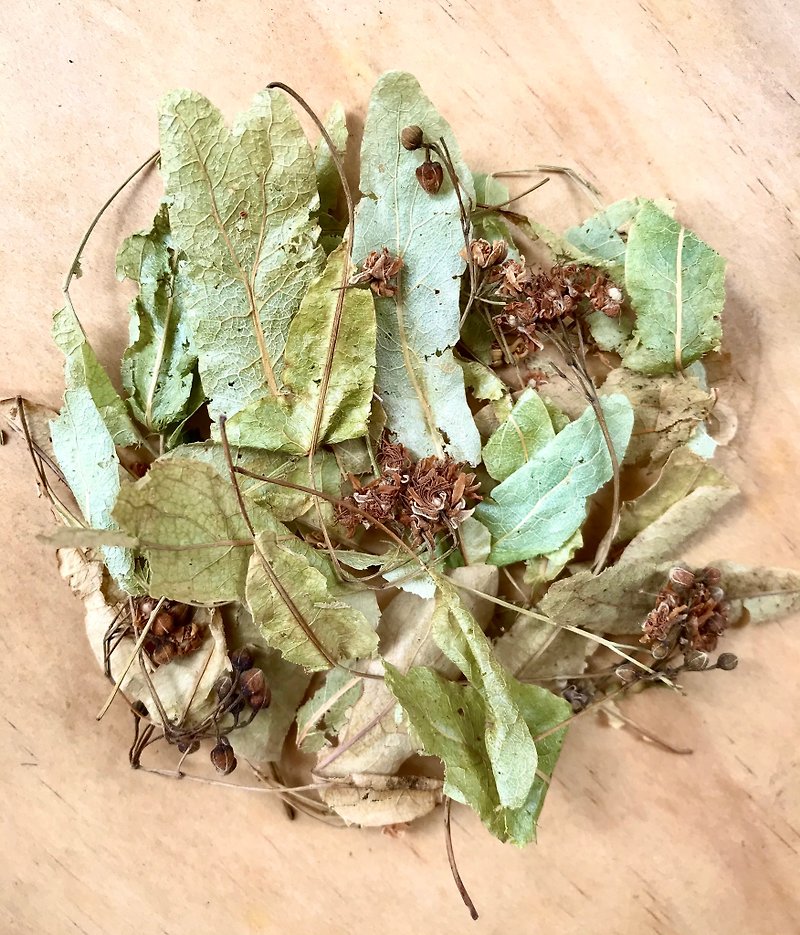 菩提子Linden  Leaf & Flower - 茶葉/茶包 - 植物．花 