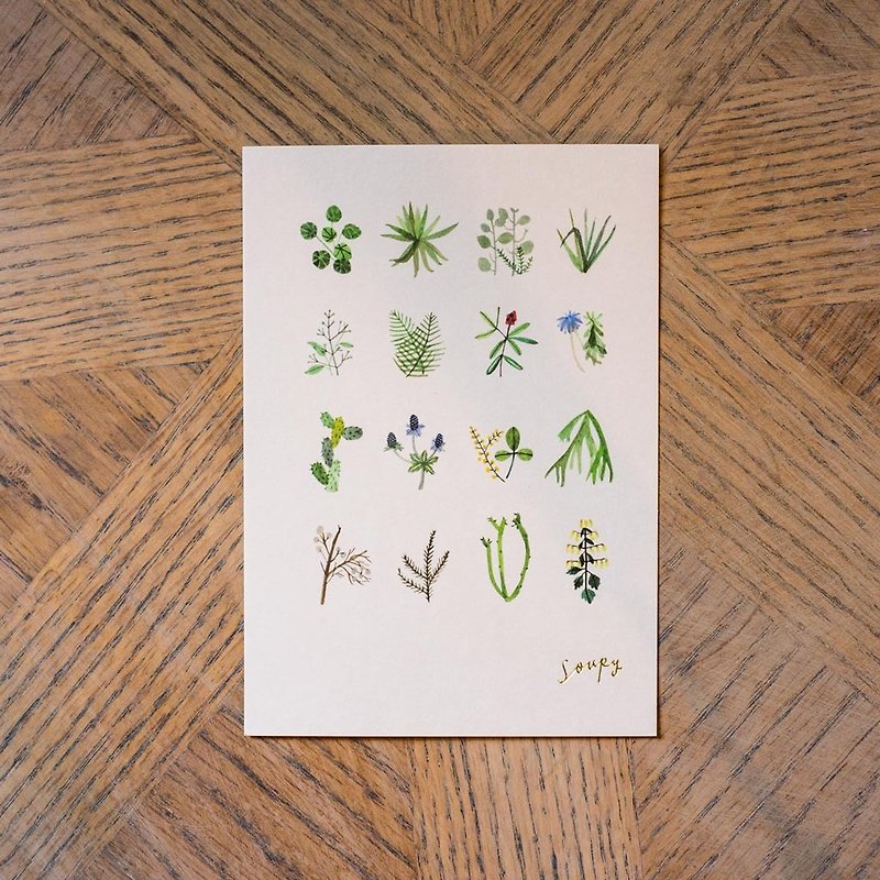 植物明信片 - 心意卡/卡片 - 紙 