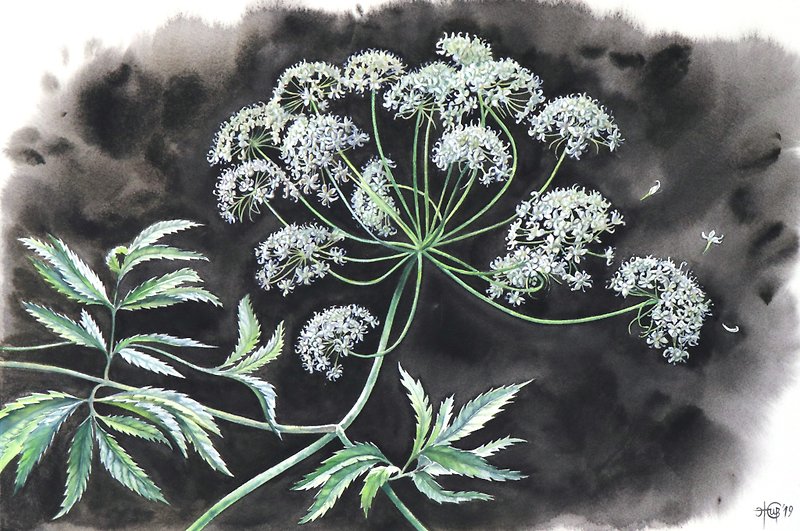 アーティストIrinaZhunaevaによる植物の壁アートオリジナル水彩画 - ポスター・絵 - 紙 ブラック
