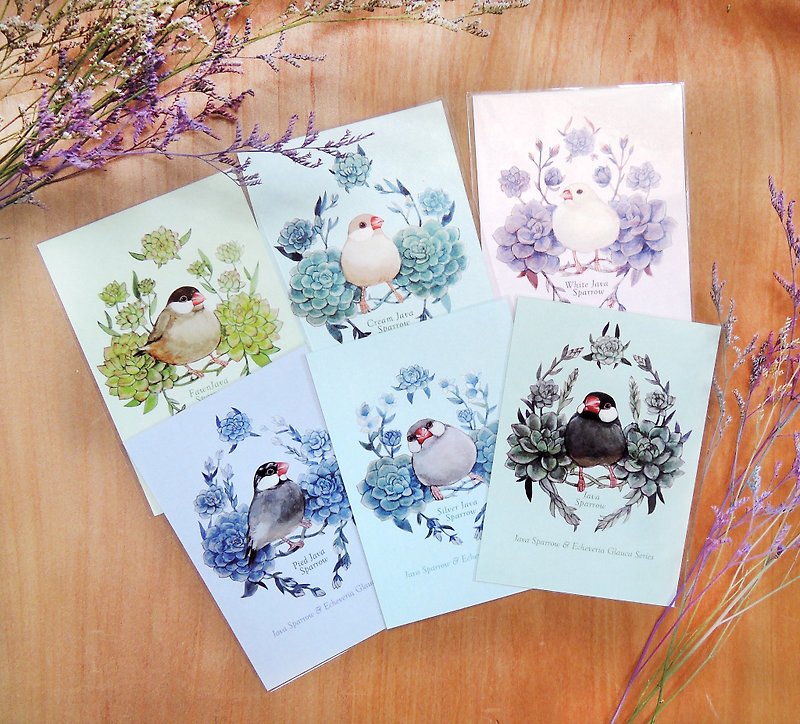Wenhua and Stone Lotus Series Postcard Set - Cards & Postcards - Paper Purple