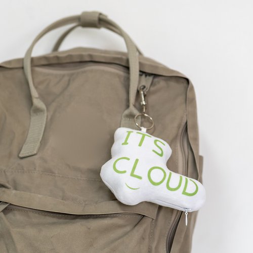 ITS CLOUD客製禮物 定製化品牌logo吉祥物抱枕 吊飾 鑰匙扣飾 包袋掛件 大小尺寸都有