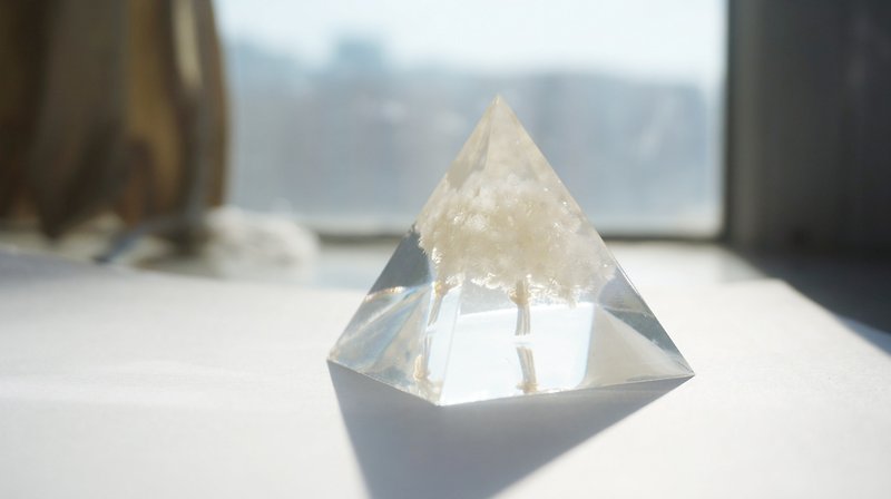 ドライフラワーホワイト雪のMo  -  3次元の三角形のドライフラワー装飾 - 置物 - 紙 ホワイト
