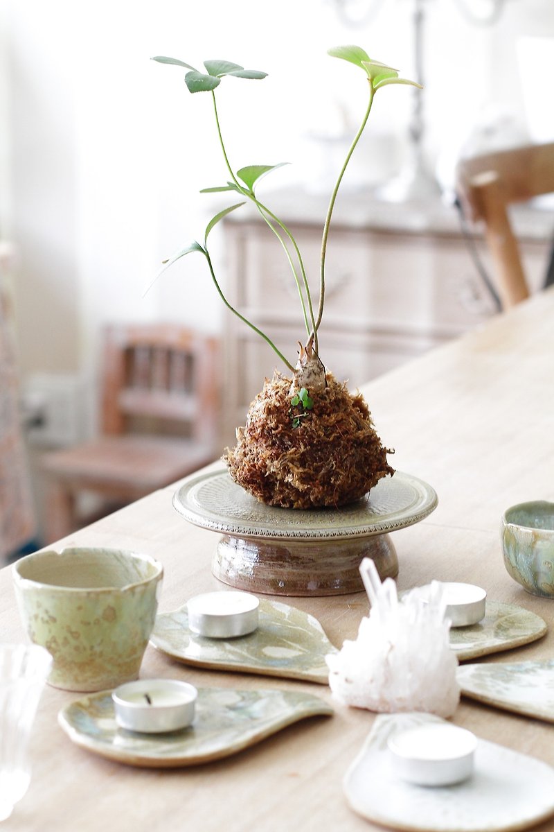 Purely handmade ceramic tall cake plate/ornament plate/candle holder/pot holder 1 - จานและถาด - ดินเผา สีกากี