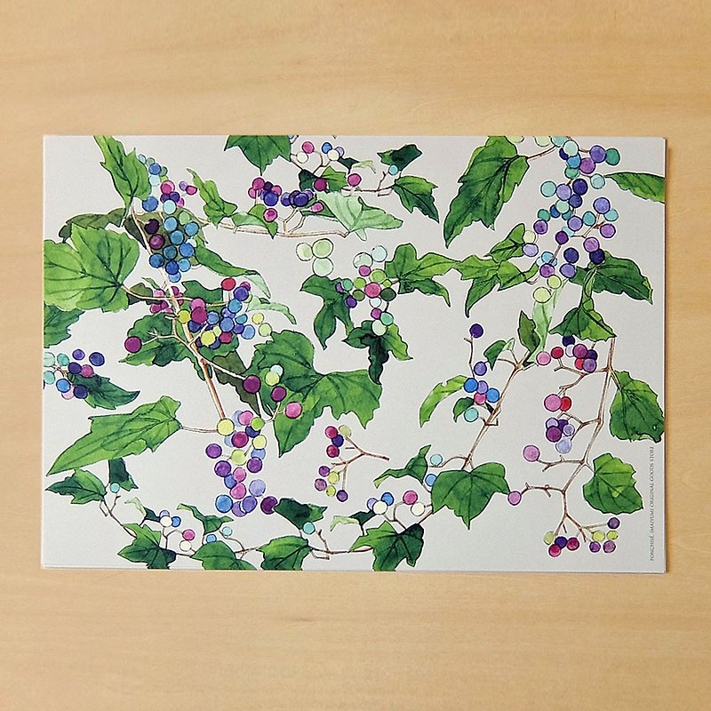 紙 其他 紫色 - 薰衣草 包裝紙 10 入組