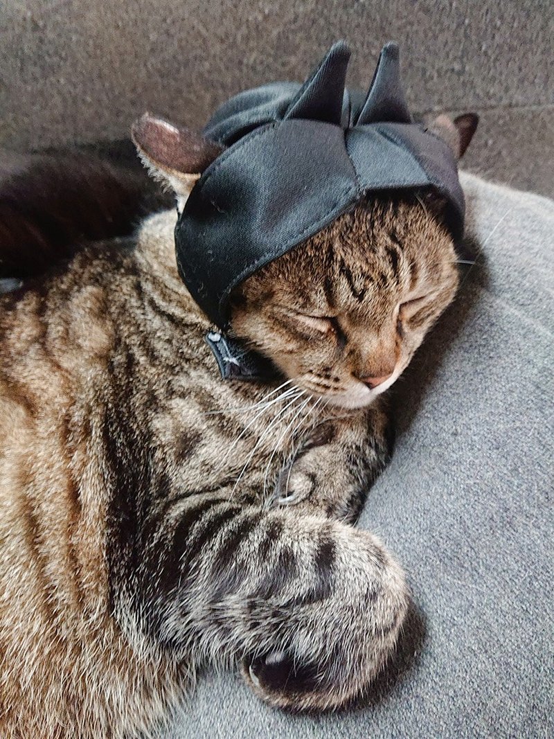 [Street Trend] Pet Cat Trendy Hat/Winter Cat Hat丨Pet Crossdressing - ชุดสัตว์เลี้ยง - ไฟเบอร์อื่นๆ สีดำ