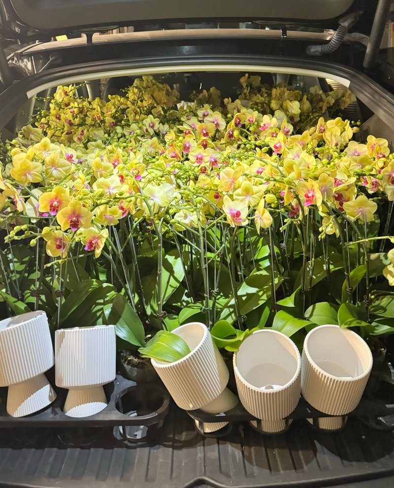 微景歡樂送－客製化盆栽與代客送禮 - 盆栽/植栽 - 其他材質 