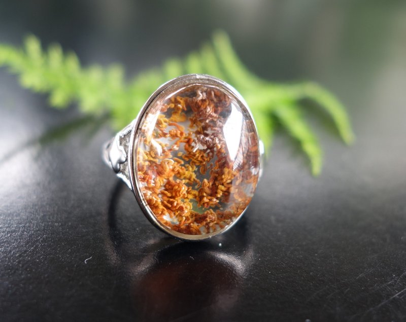 天然異象水晶戒指 5.9克 紅幽靈 活口指環 水晶 淨透 乾淨 半寶石 - 戒指 - 水晶 多色
