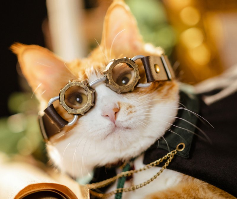 【貓咪道具】蒸汽大陸復古 寵物造型眼鏡 - 客製化寵物商品 - 其他材質 咖啡色