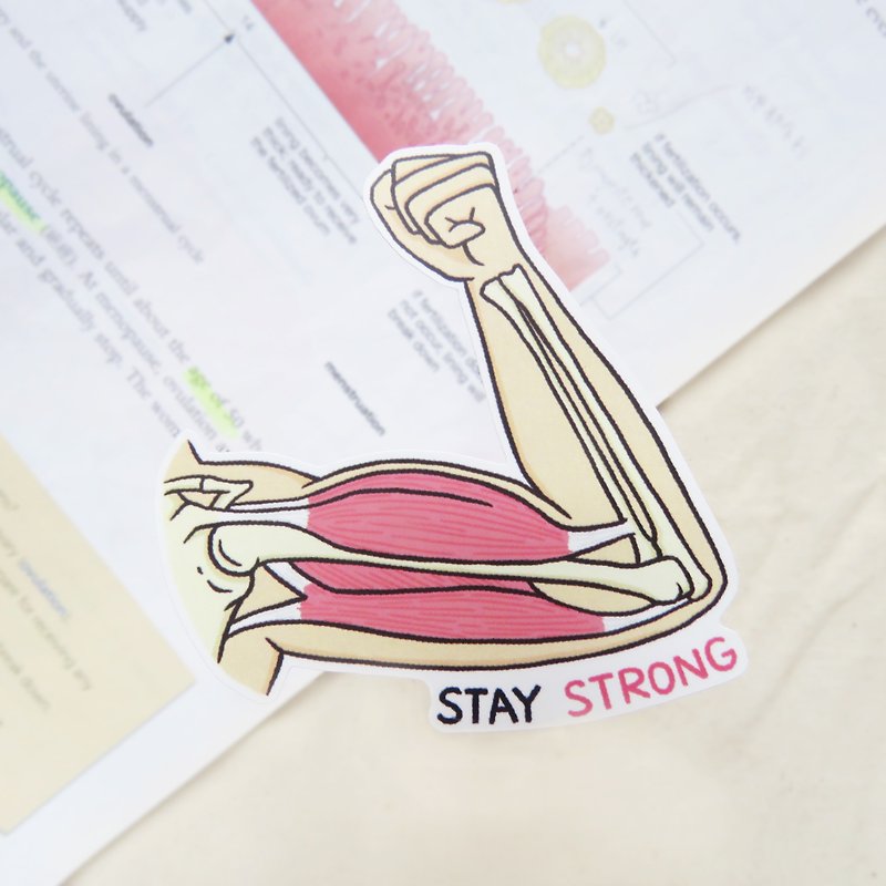 Stay Strong! 大きなステッカー/生物学的励ましをしっかりしてください - シール - 防水素材 ピンク