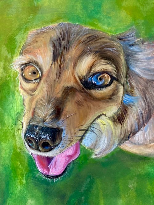 キャンバス上の犬の絵、オリジナルの油絵、カラフルなアートワーク