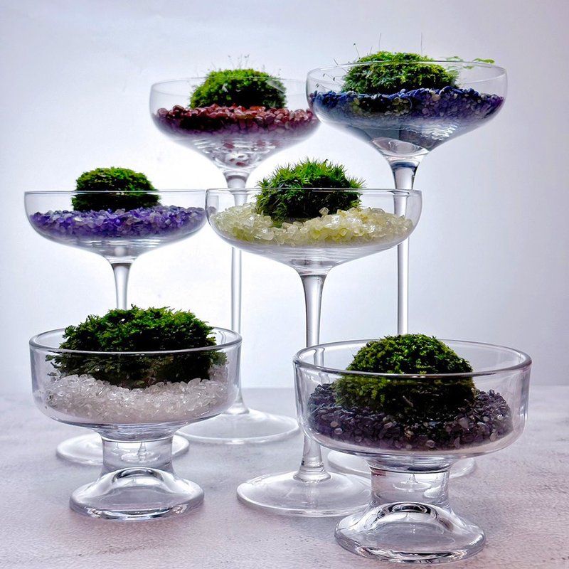 Healing system-green decoration/moss Gemstone rainbow cup/micro-landscape/healing/air filtration - ตกแต่งต้นไม้ - พืช/ดอกไม้ 