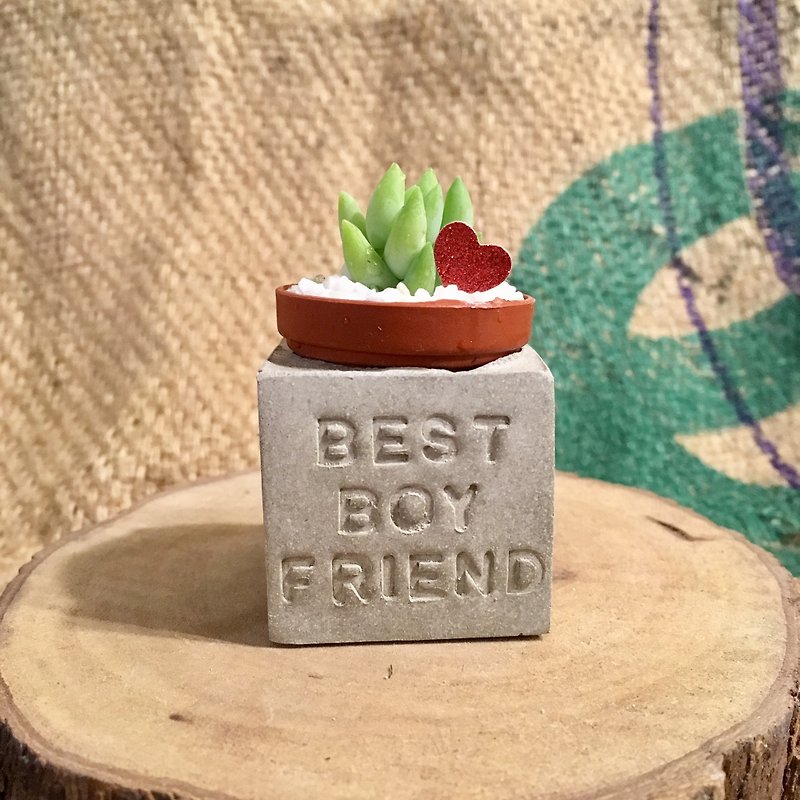 Best boyfriend magnet succulent pot - ตกแต่งต้นไม้ - ปูน 