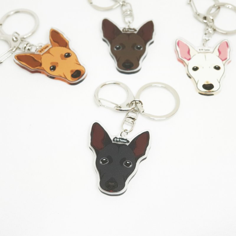 Taiwanese dog/Mikes own dog and cat multi-pattern double-sided Acrylic key ring/ strap/ tag - อื่นๆ - พลาสติก หลากหลายสี