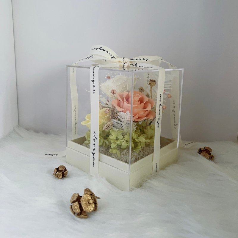 永生花壓克力盒 - 乾燥花/永生花 - 植物．花 卡其色