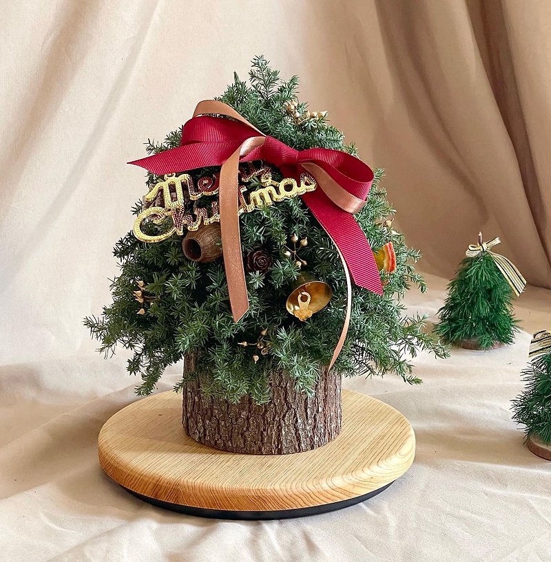 Spot Christmas gift fat Christmas tree immortal cedar never withered flowers with gift box - Dried Flowers & Bouquets - Plants & Flowers Green
