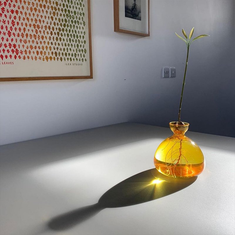 ILEX STUDIO | 酪梨玻璃花器 復古黃 - 花瓶/花器 - 玻璃 黃色