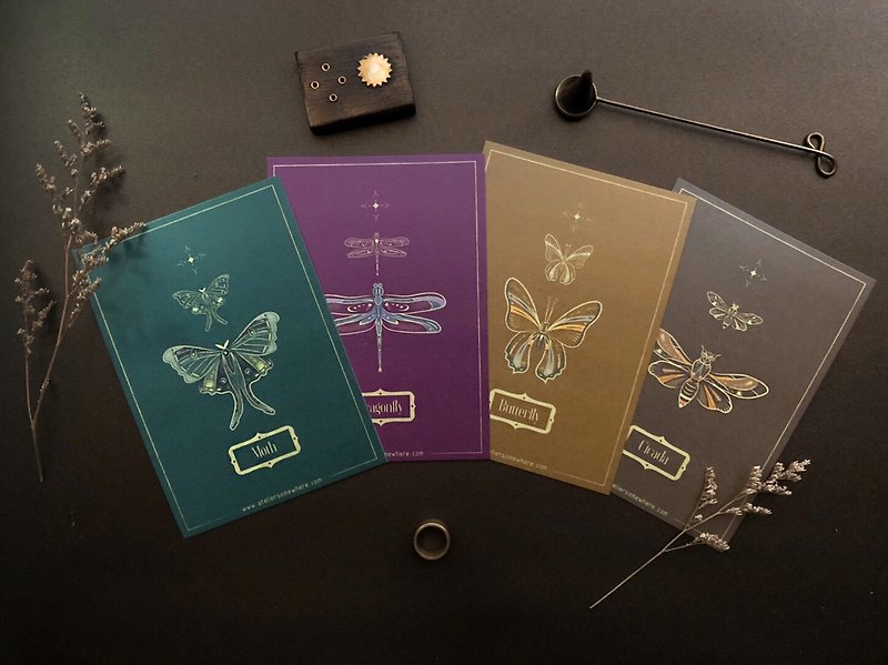 Paper Cards & Postcards Multicolor - Specimen Room / insect greeting card set (set of 4)