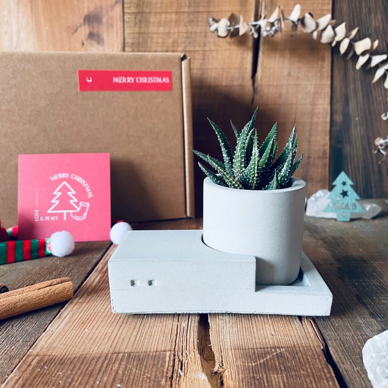 【火力全開--小】開運招財療癒仙人掌 辦公桌療癒系盆栽 生日禮物 - 盆栽/植栽 - 水泥 灰色