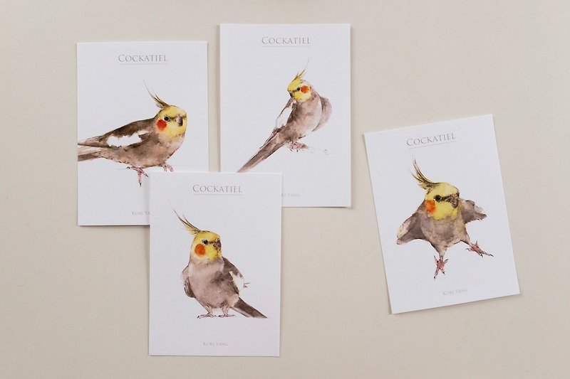 Birds postcard group E Xuanfeng - การ์ด/โปสการ์ด - กระดาษ 