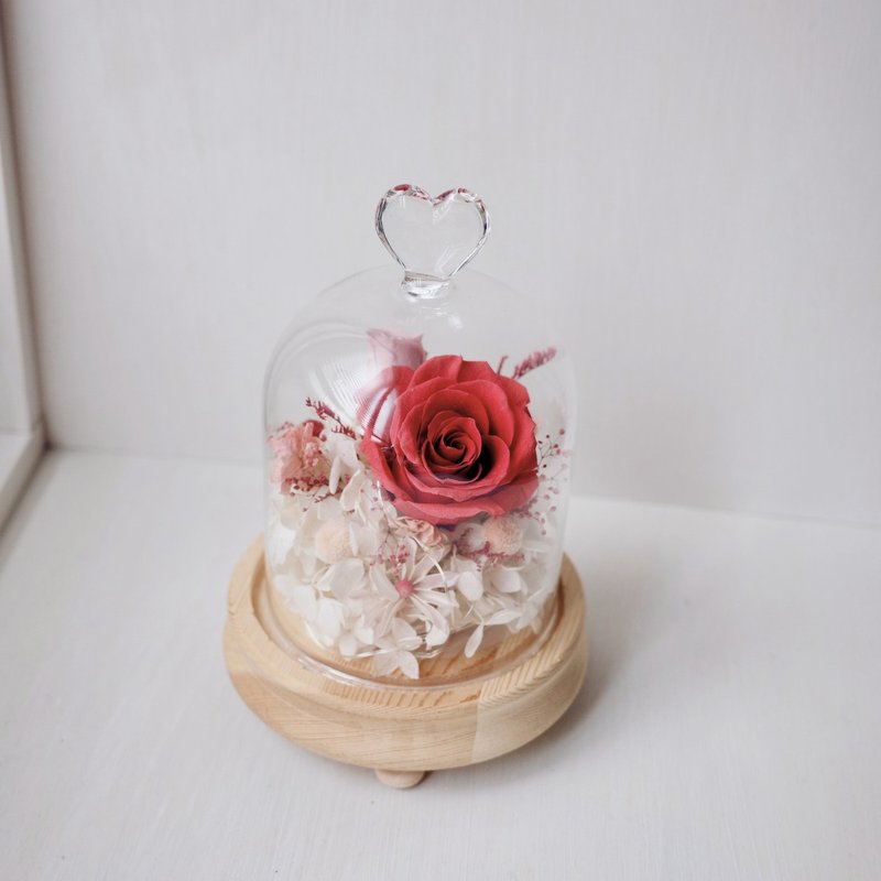 永生花罩盅 含燈  生日 l 週年 l 母親節 l 慶祝 l 紅色系 - 乾燥花/永生花 - 其他材質 