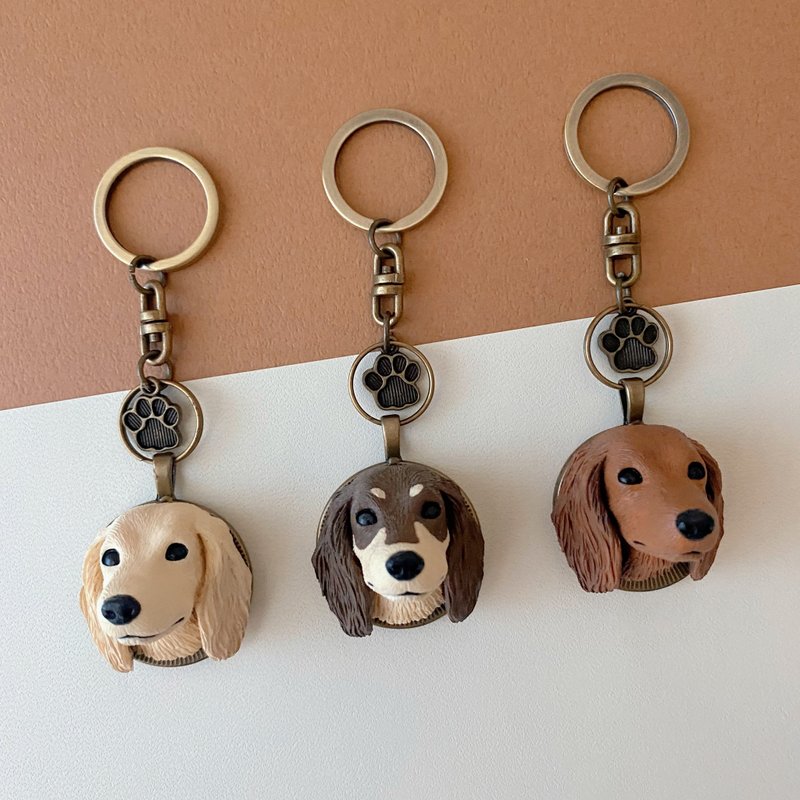 Q version long-haired dachshund key ring / four colors [free printing both Chinese and English numbers] - Keychains - Resin Multicolor