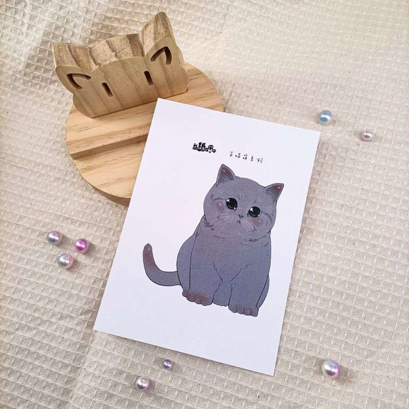 ME183-122_我紙在乎你百喵萌明信片_ill.timing Hundred meow cute postcard - Cards & Postcards - Paper Multicolor