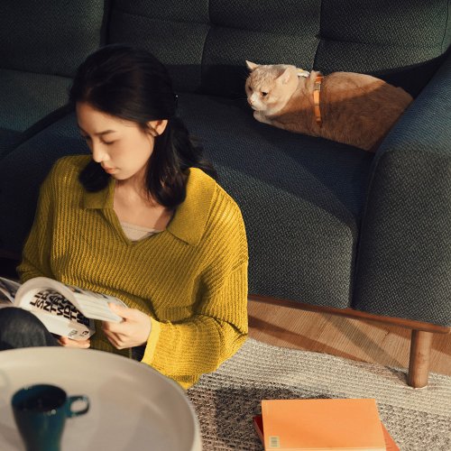 tails&me 尾巴與我 【tails&me 尾巴與我】新經典系列 貓工型胸背帶(單色 共6色)