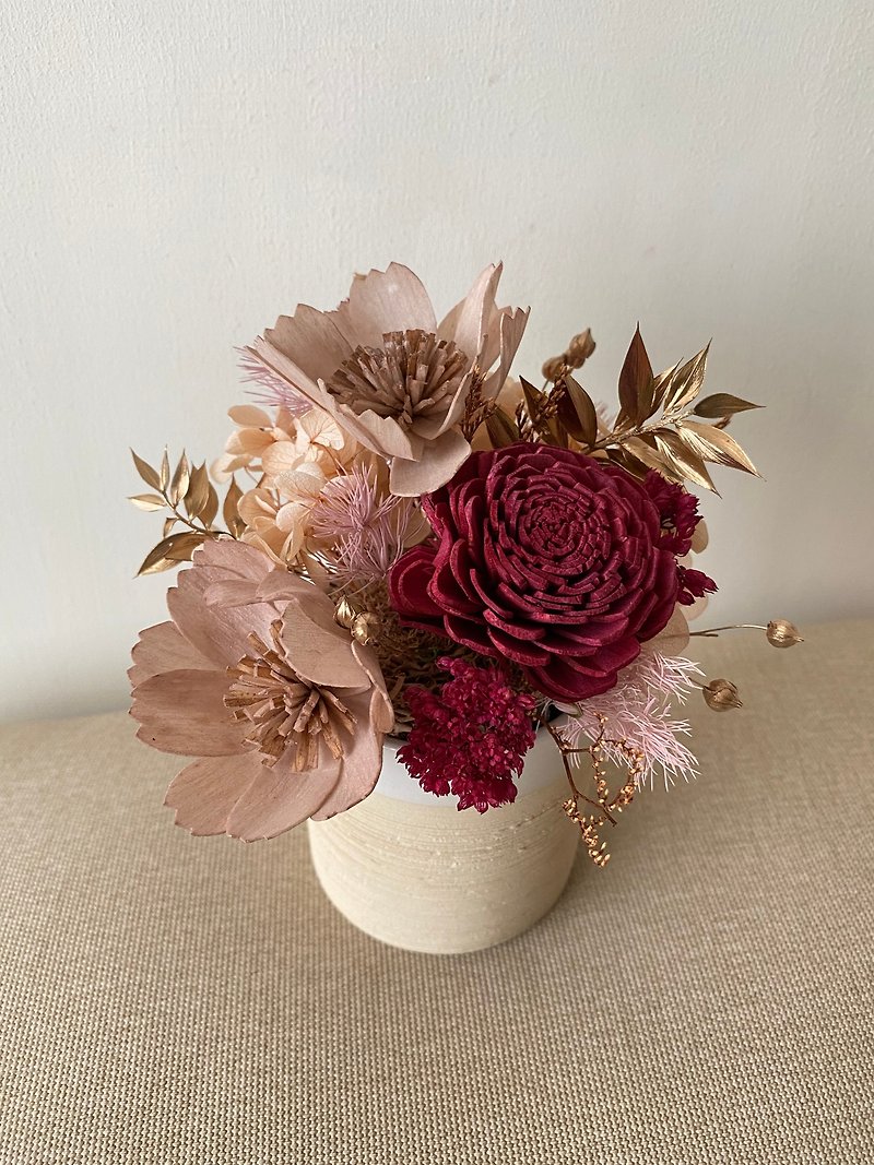 New Year potted flowers. Potted flowers. Flower gifts. New Year flower gifts. New Year potted flowers. Joy. Everlasting flowers. Sola flowers. New Year. - Dried Flowers & Bouquets - Plants & Flowers Red
