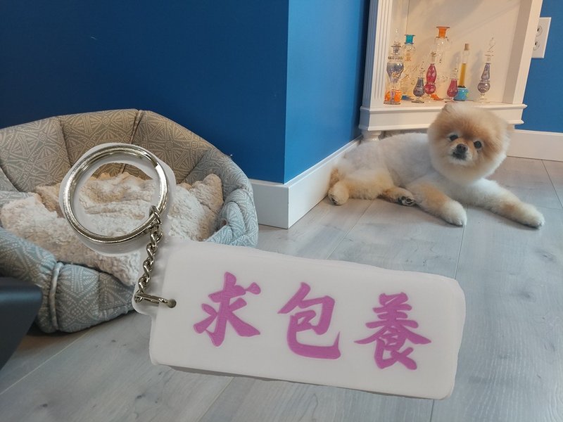 求包養 匙扣 Pinkoi 首發 【夢寐以求系列】 - 鑰匙圈/鑰匙包 - 壓克力 