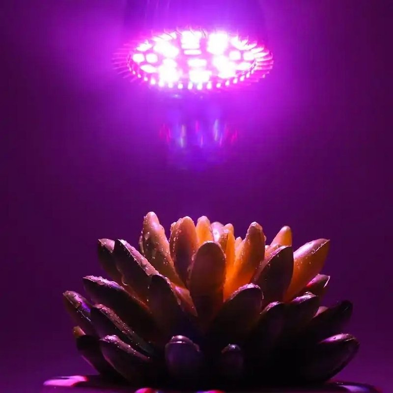 著色植物燈/補光植物燈/著色專用燈 - 植物/盆栽/盆景 - 塑膠 白色