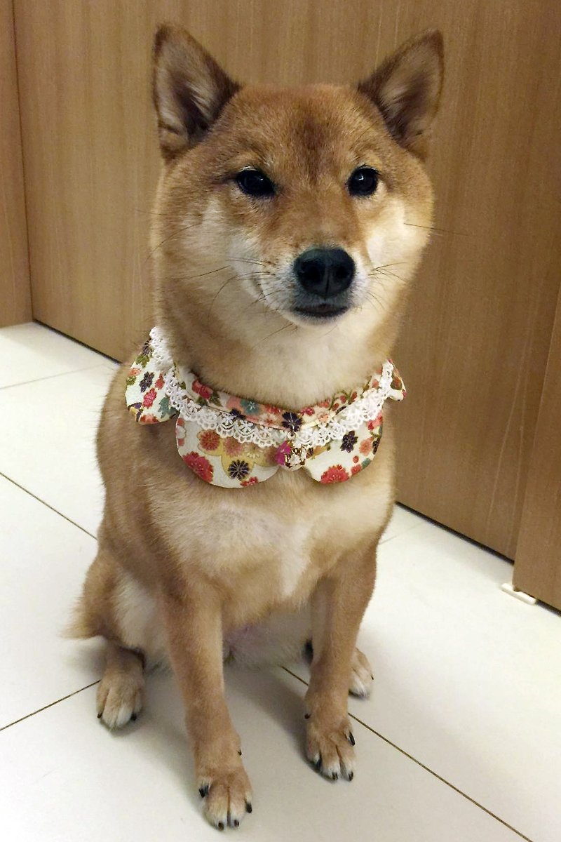 Japanese Floral Collar*Clover*Cat & Dog Neckband S size - ปลอกคอ - ผ้าฝ้าย/ผ้าลินิน หลากหลายสี