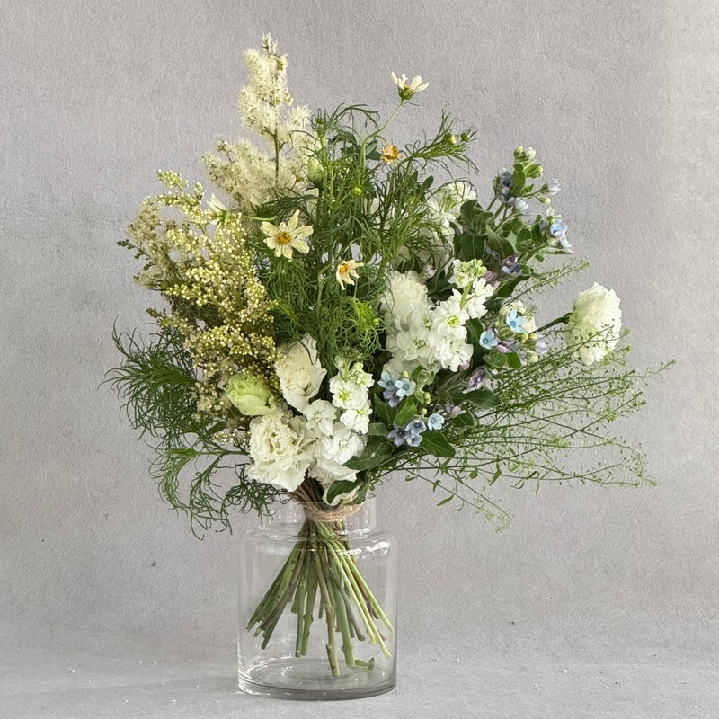 Petal Forest - 盆栽/植栽 - 植物．花 