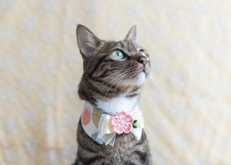 【Sakura・さくら Series】Pet Scarf Cat/Dog Flower Floral Cloth Flower-Beige - ปลอกคอ - ผ้าฝ้าย/ผ้าลินิน สีเหลือง