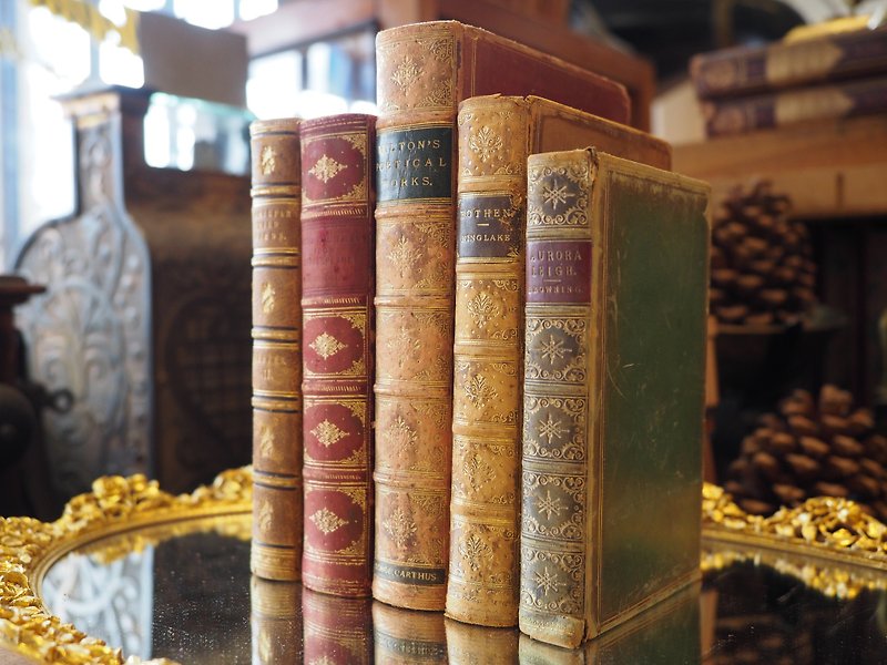 Europe 1800 --1900 years cortex installed genuine antique books (more than one hundred genuine) a group of five - Other - Paper Brown