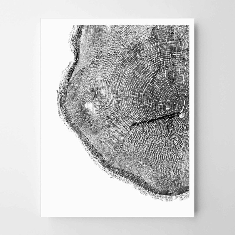 Tree Ring #2 Painting Decoration Bedroom Bathroom Restaurant Cafe - Wall Décor - Paper 