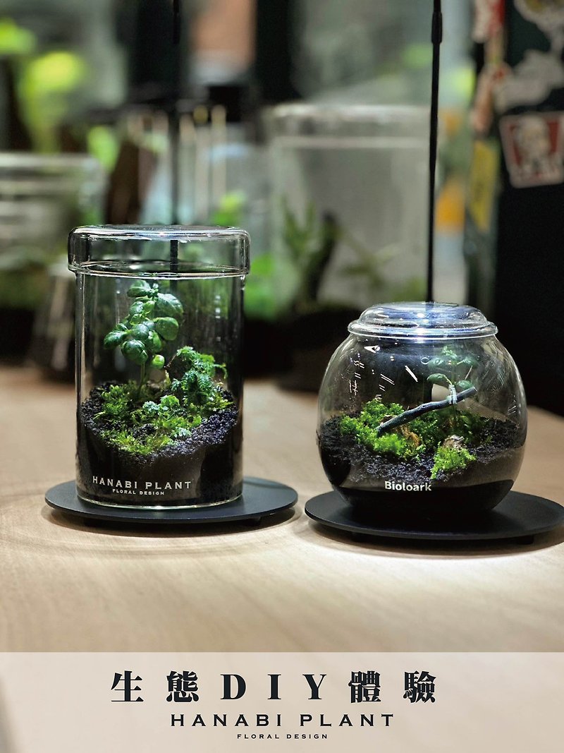 小生態材料包 - 植物/盆栽/盆景 - 玻璃 