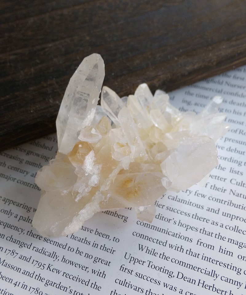 Crystal 四川產地 不規則晶簇 白水晶晶簇 天然礦石 原礦 - 擺飾/家飾品 - 其他材質 