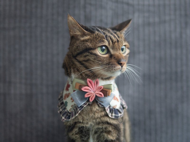 【Red Leaves・もみじ】Pet Scarf Cat/Dog Calico Flower Maple Leaf Scarf-Red - ปลอกคอ - ผ้าฝ้าย/ผ้าลินิน สีแดง