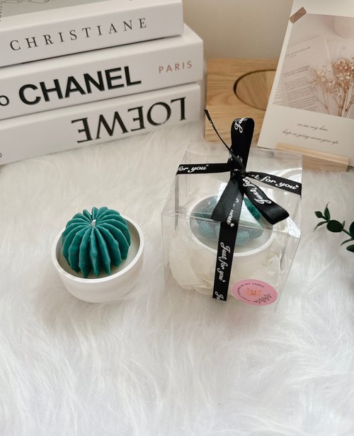 Piggy Candle韓式香氛蠟燭 婚禮小物 花椰菜禮-多肉盆栽香氛蠟燭